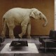 Compliance Training, The Elephant, and Sex…