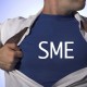 Subject Matter Experts: The Heroes of The Training World