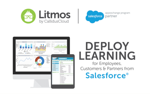 Litmos Salesforce lms integration