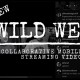 Mobile Streaming Video: The New Wild West of L&D