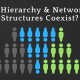 Can Hierarchical and Networked Organizational Structures Coexist?