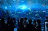 atd2017 aquarium exhibit