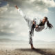 Train in the LIVE Litmos Dojo at C3
