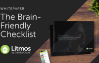 Litmos brain friendly guide