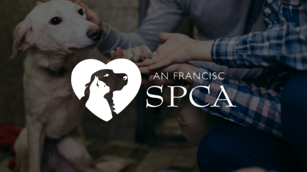 San Francisco SPCA