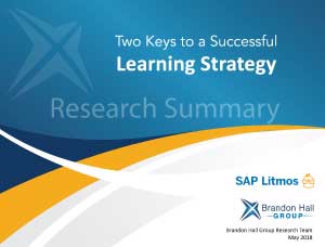 successful learning strategy