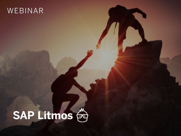 top training lms litmos salesforce