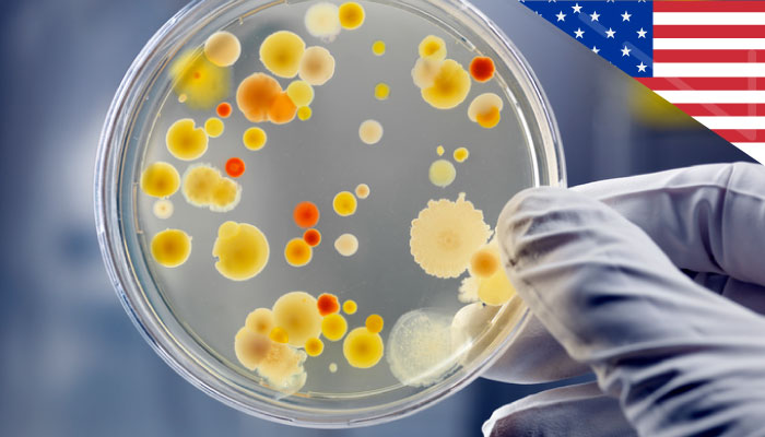 multidrug resistant pathogens preventing infection course