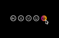 Emotion in Learning