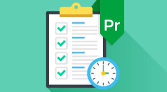 microsoft project 2010 basic