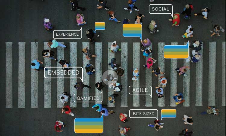 beyond buzzwords training