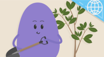 Environmental – What is Sustainability