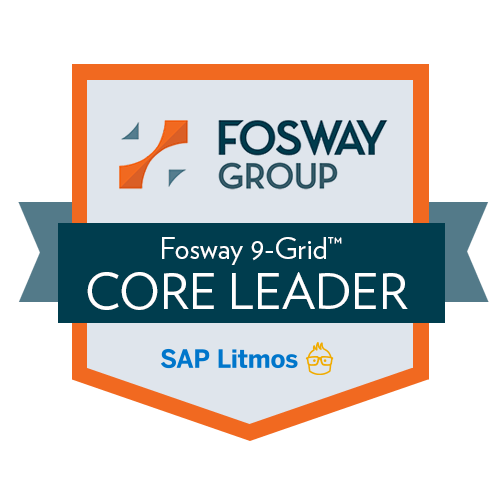 fosway 9-grid core leader