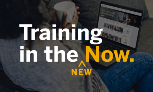 training in the new now