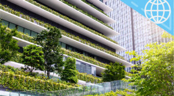 Leading Learning – Business  Sustainability