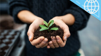 Leading Learning – Environmental Sustainability