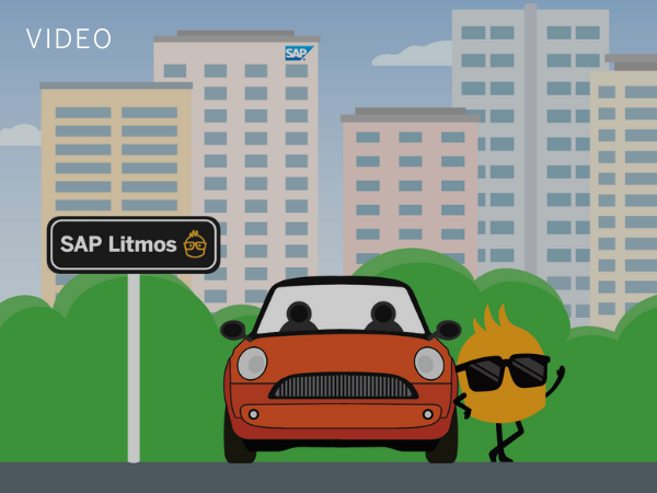 litmos highway video