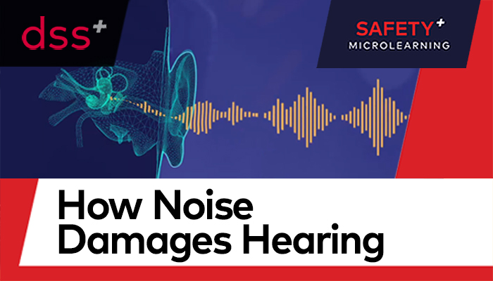 how noise damages hearing course