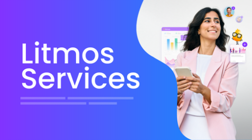 Litmos Services
