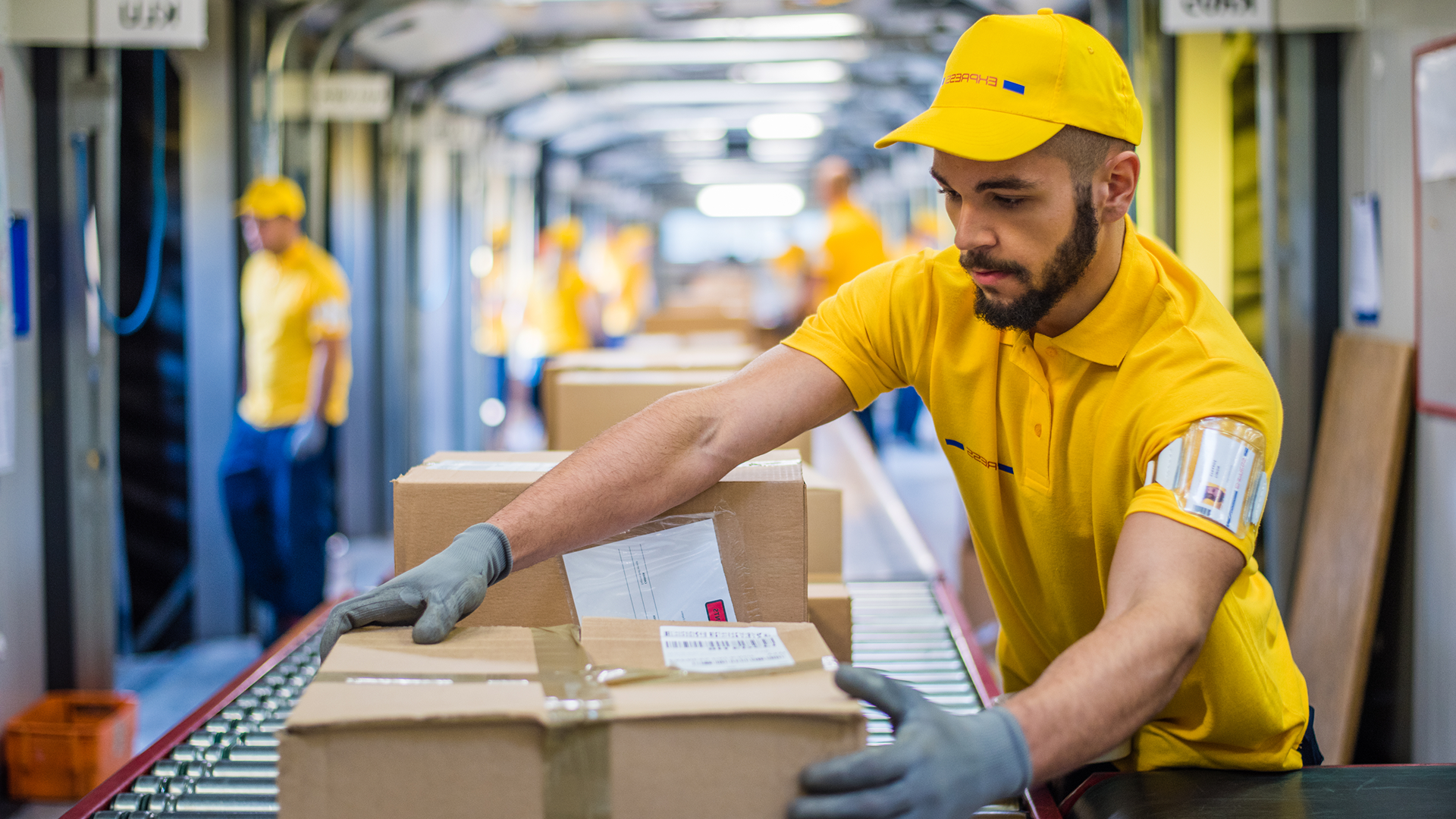 LMS for Wholesale & Distribution Teams | Litmos  Image