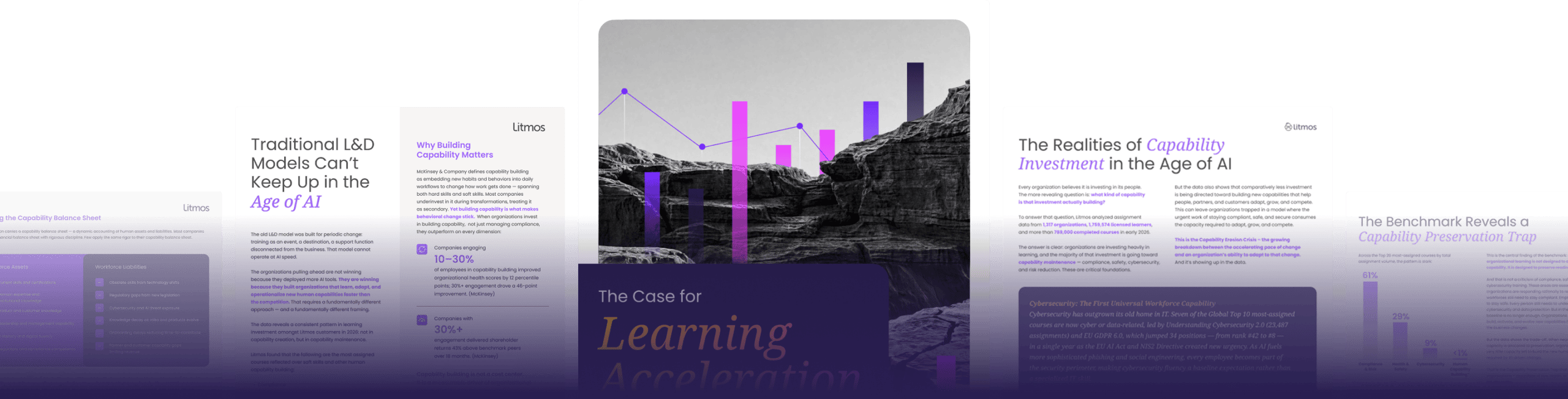 The Case for Learning Acceleration in 2026 Image